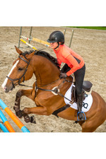Equestic Pferdesattelclips Und Pferdetraining